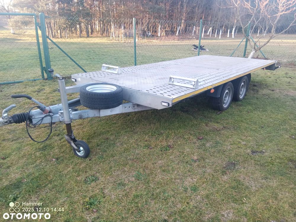 Niewiadów BORO MARS - 1