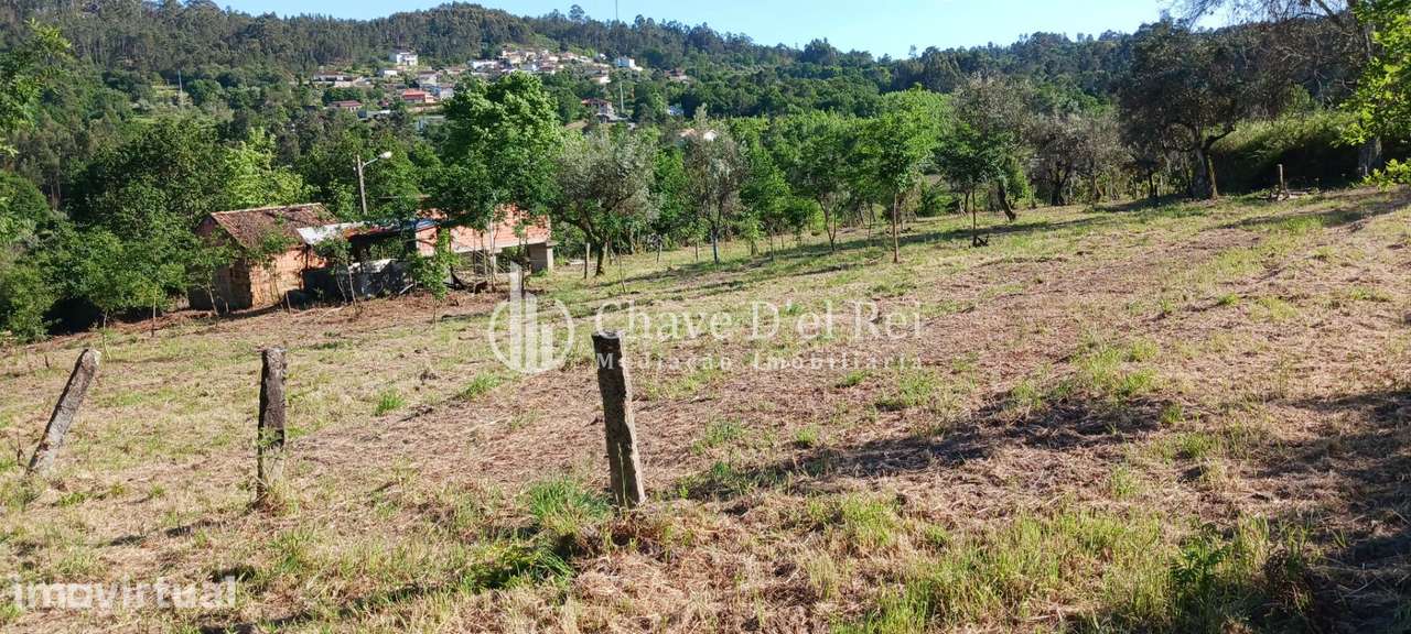 Quintinha  Venda em São Miguel do Mato,Vouzela - Grande imagem: 2/10