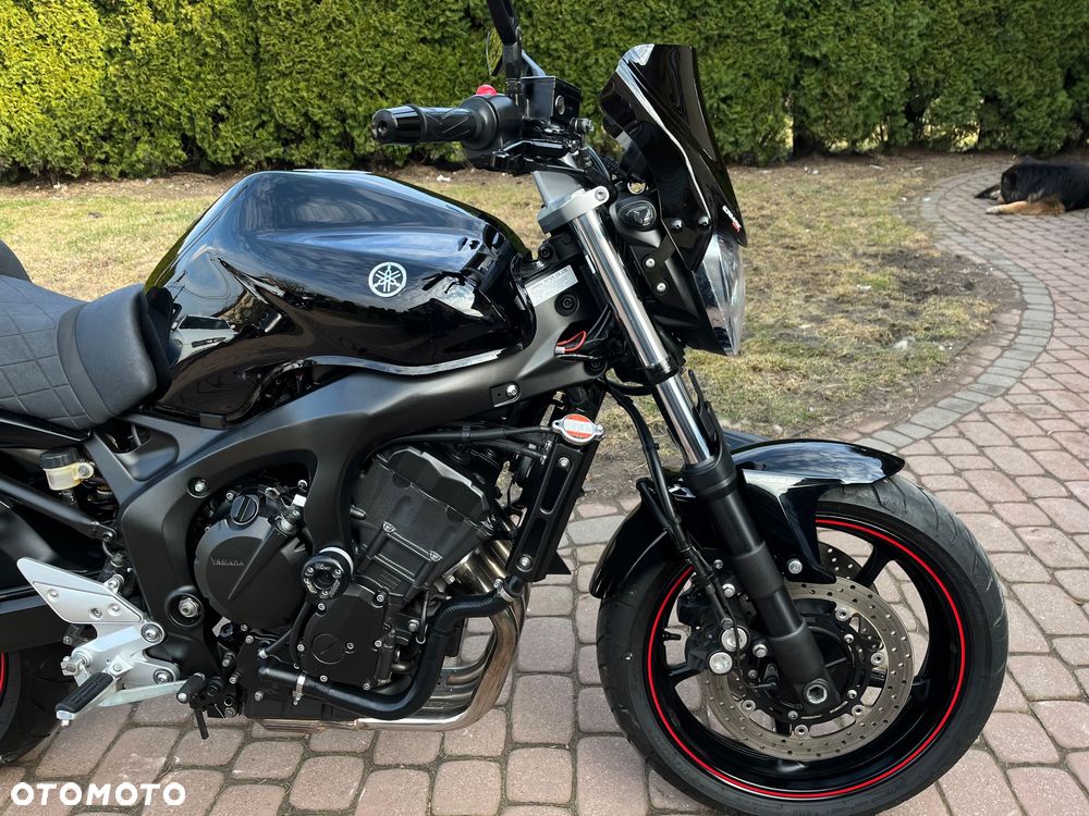 Yamaha FZ6 - 20