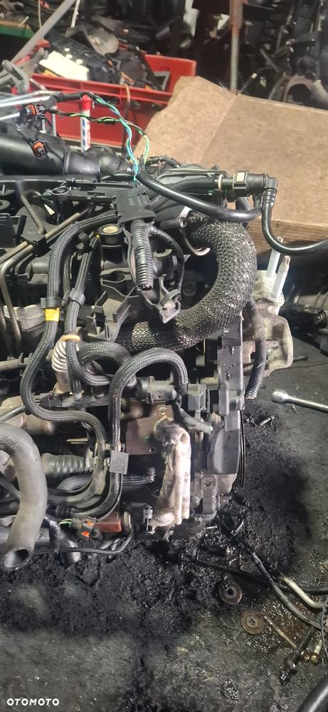 Silnik słupek Fors Focus 1,6 TDCI AC70230E - 3