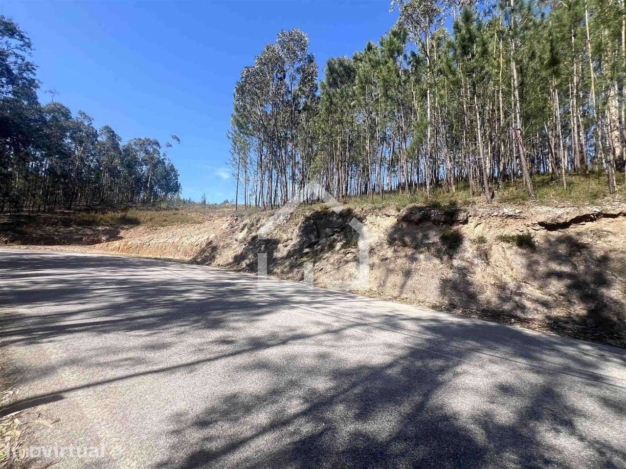 Terreno Canedo - Grande imagem: 2/8