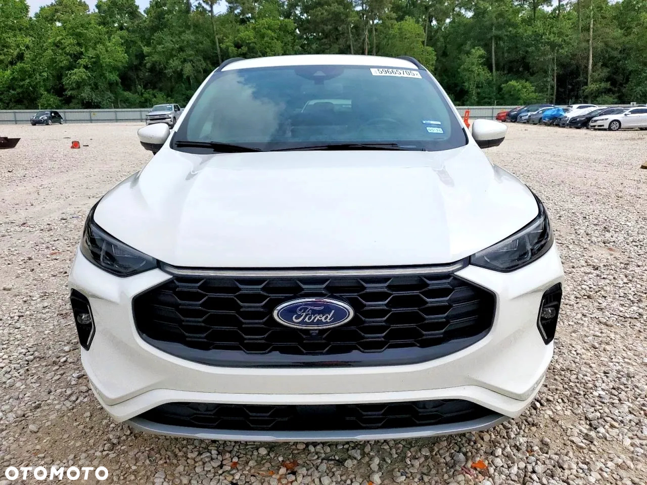 Ford Escape - 6