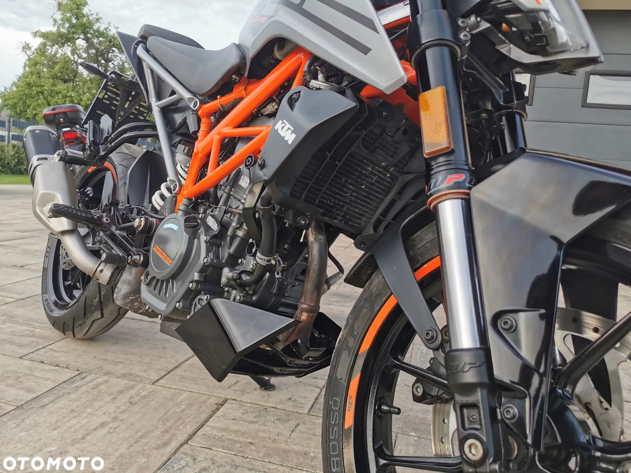 KTM Duke - 24