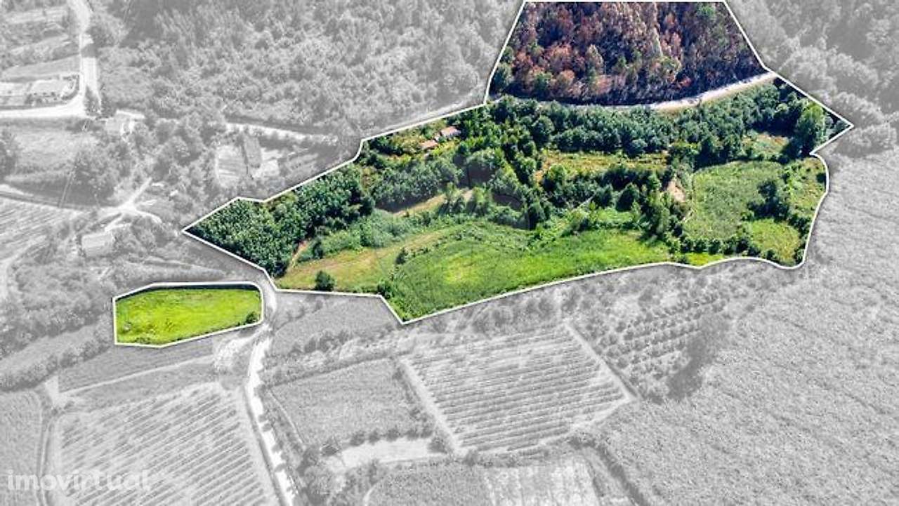 Quinta  para venda - Grande imagem: 5/17