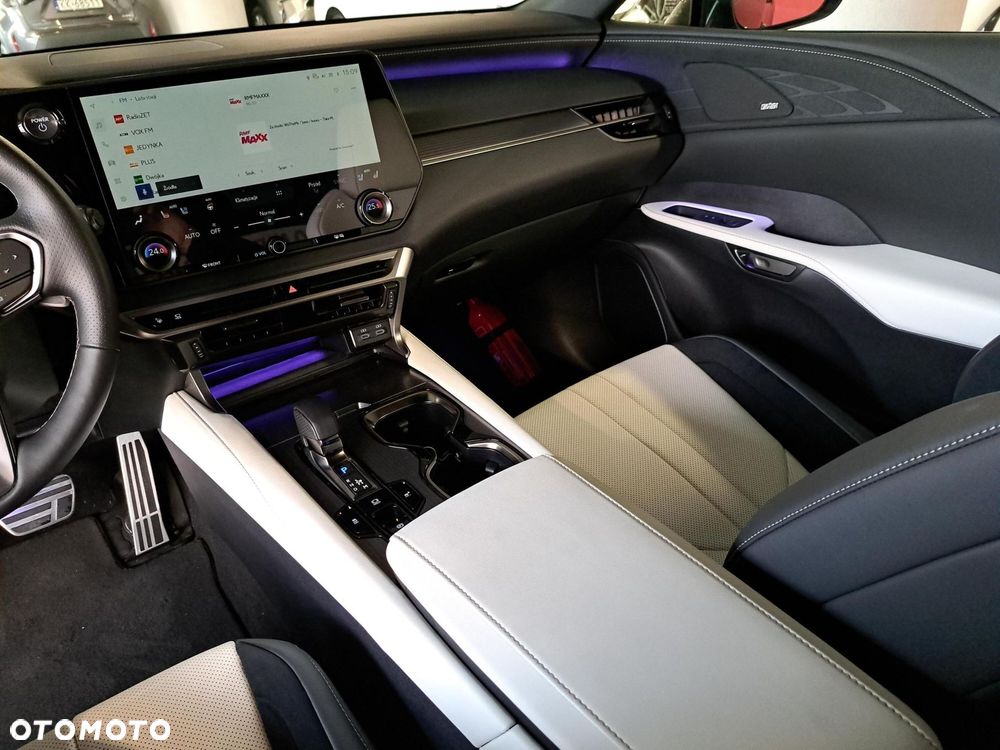 Lexus RX - 25