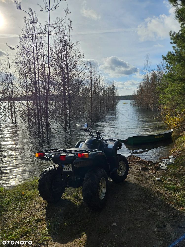 Yamaha Grizzly - 4