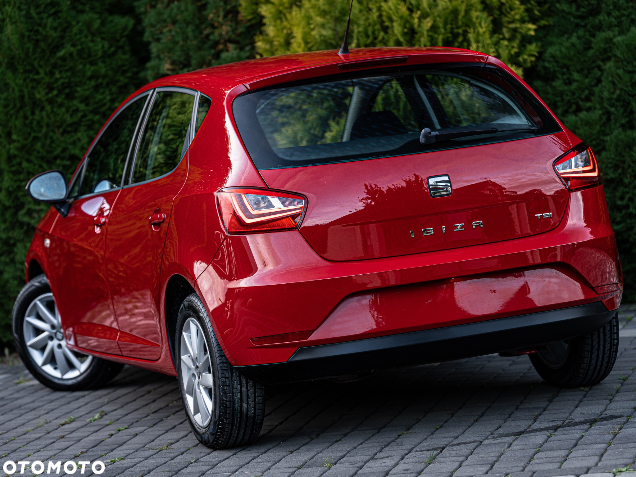 Seat Ibiza 1.2 TSI Style Salsa - 3