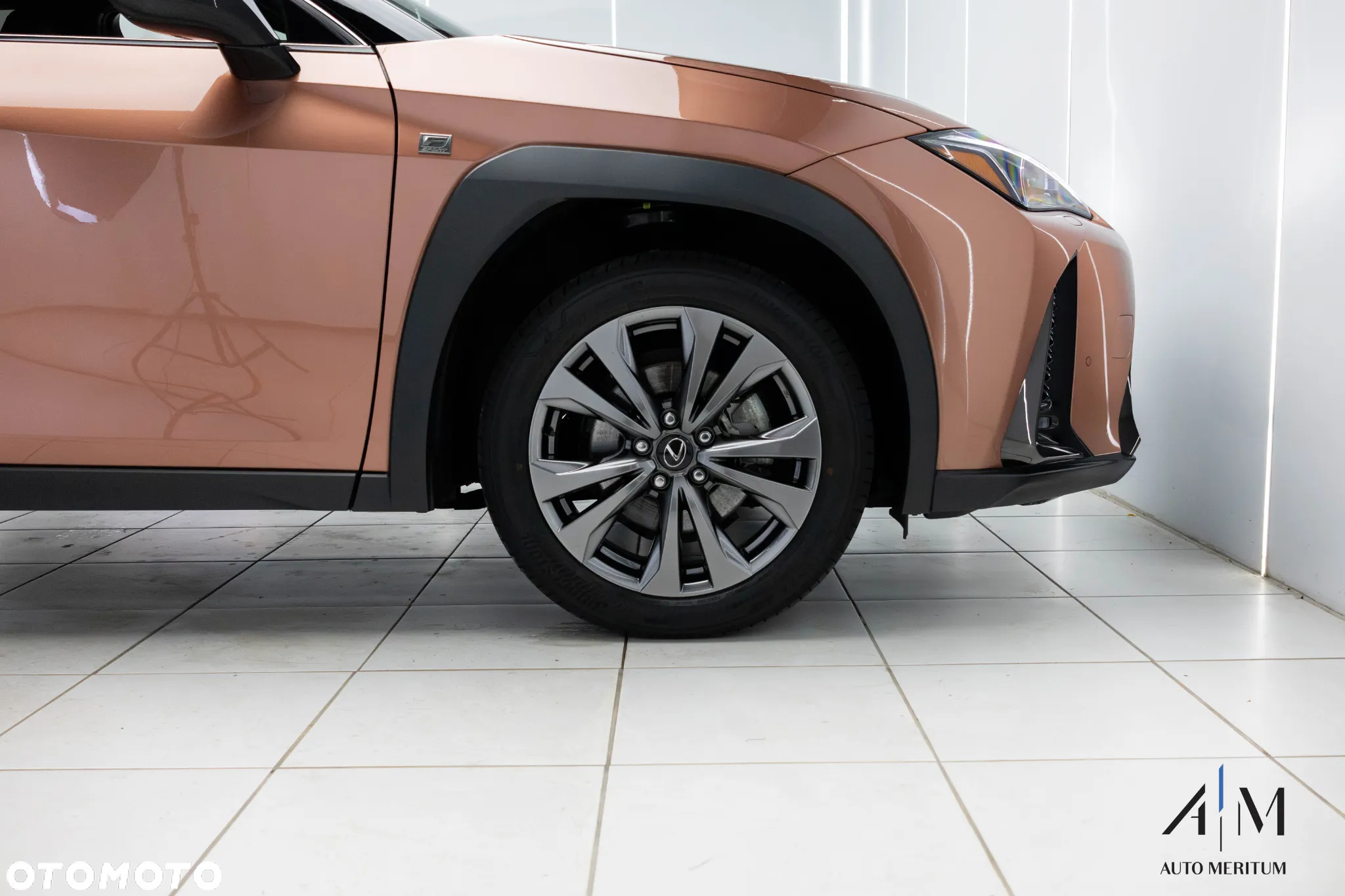 Lexus UX 300h F Sport Design AWD - 9