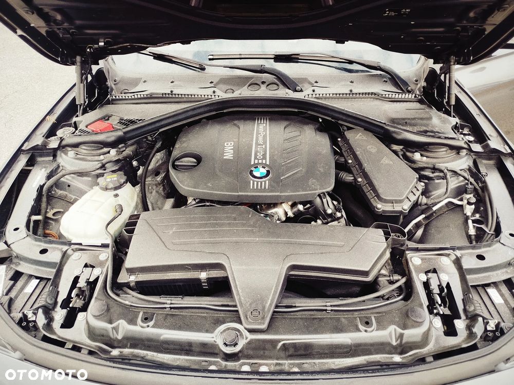 BMW Seria 3 318d Blue Performance Luxury Line - 14