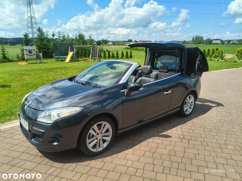 Renault Megane - 39