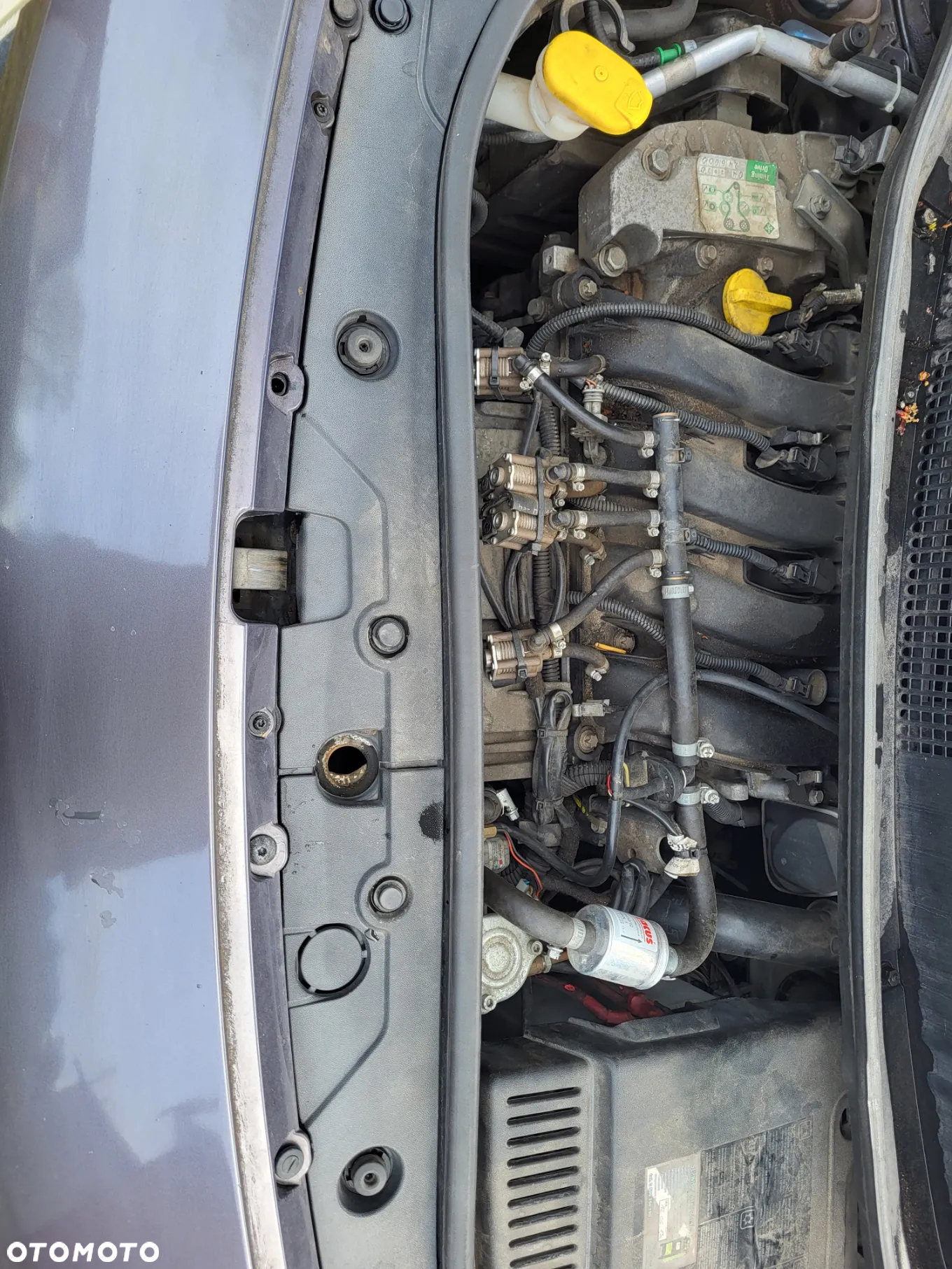 Renault Scenic - 8