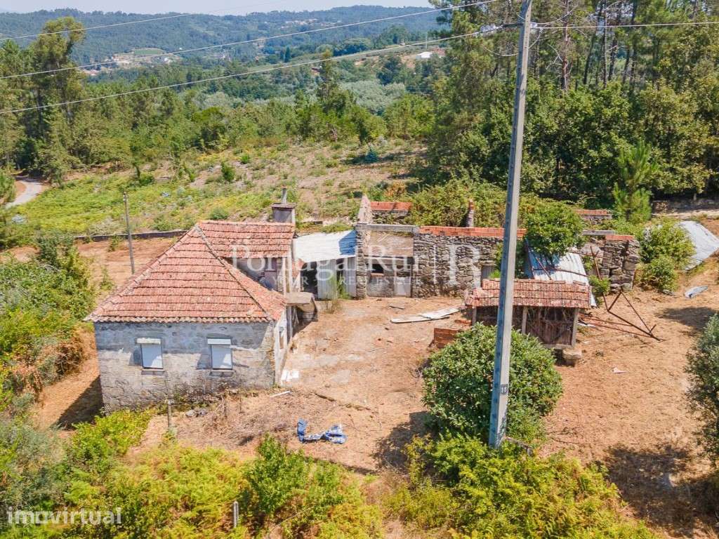 Quinta de 3 hectares com casa para recuperar - Grande imagem: 4/43