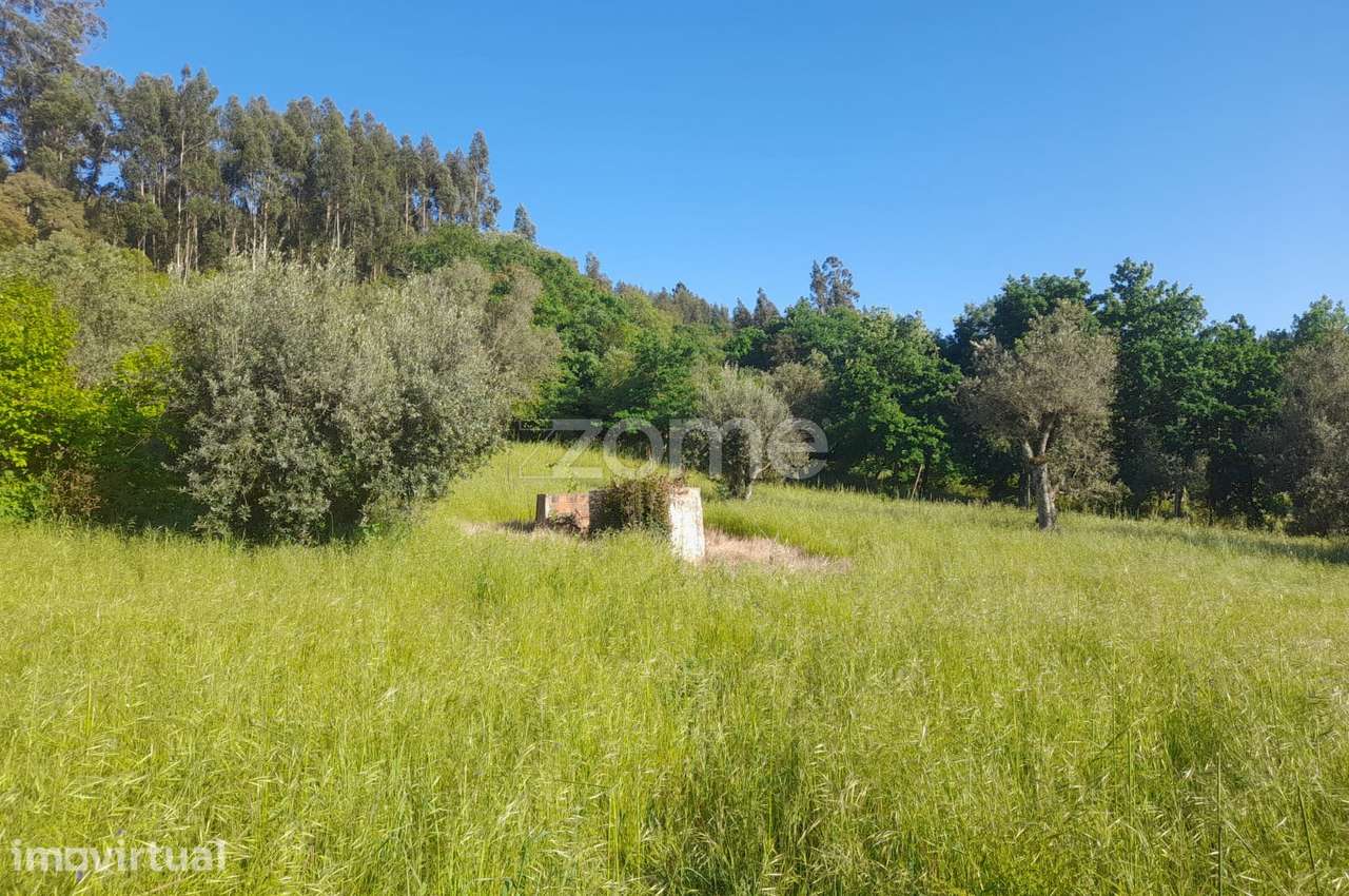terreno rustico - Grande imagem: 2/24