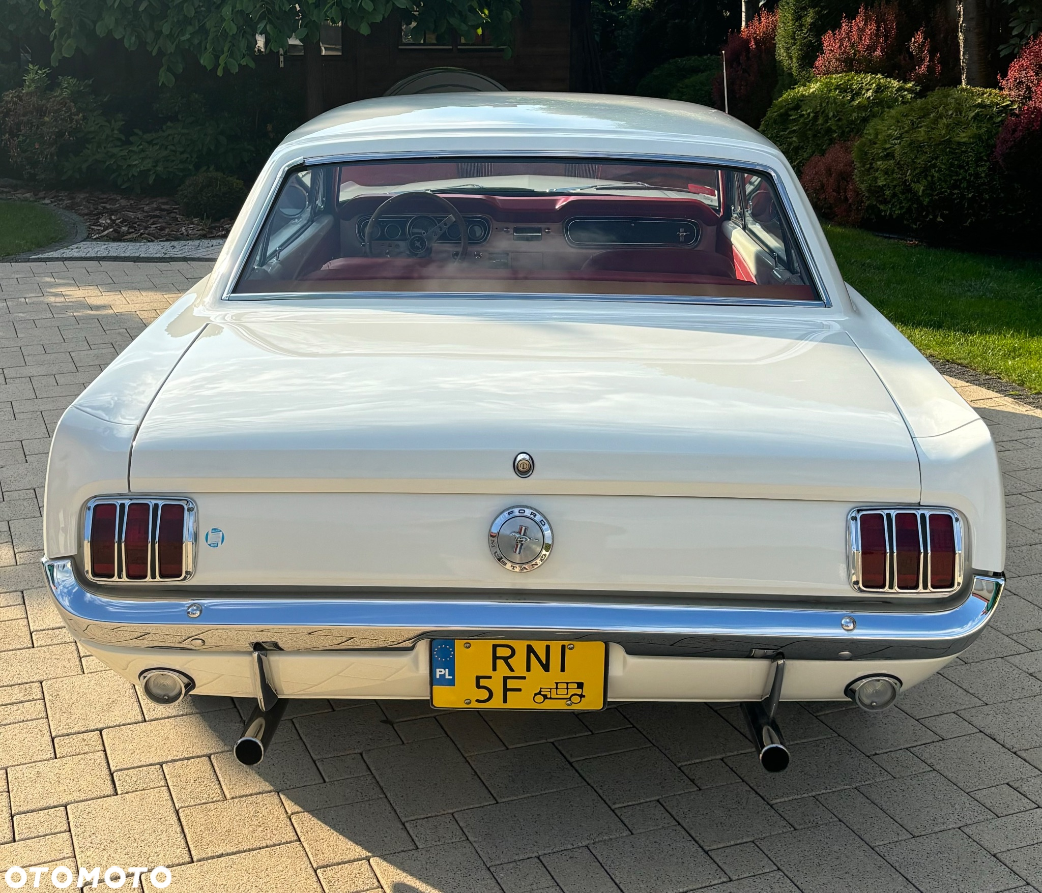Ford Mustang - 5