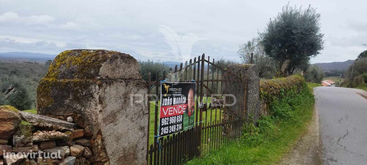 Olival - Grande imagem: 2/6