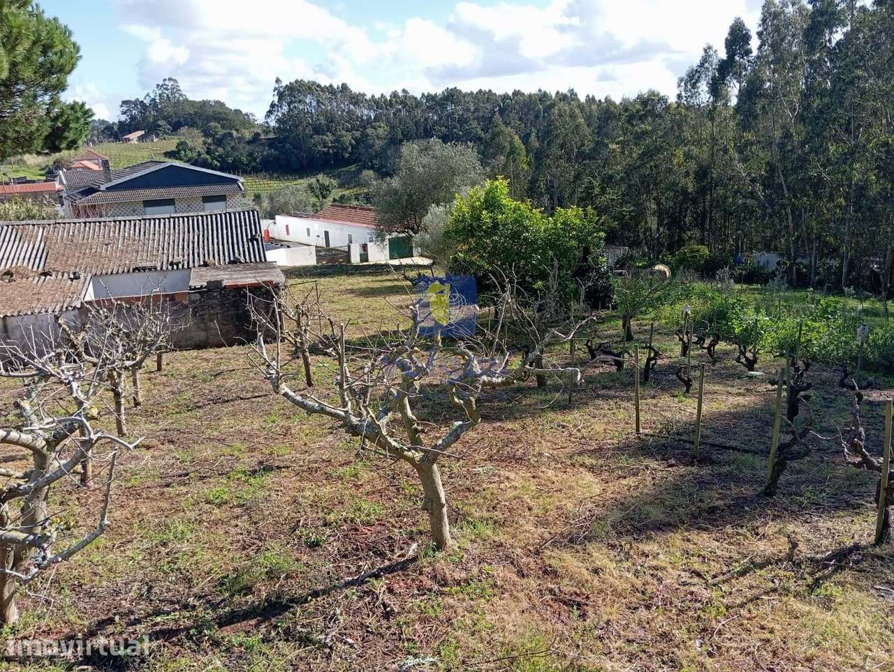 Terreno com 1996m2 na Alvorninha, Caldas da Rainha - Grande imagem: 3/6