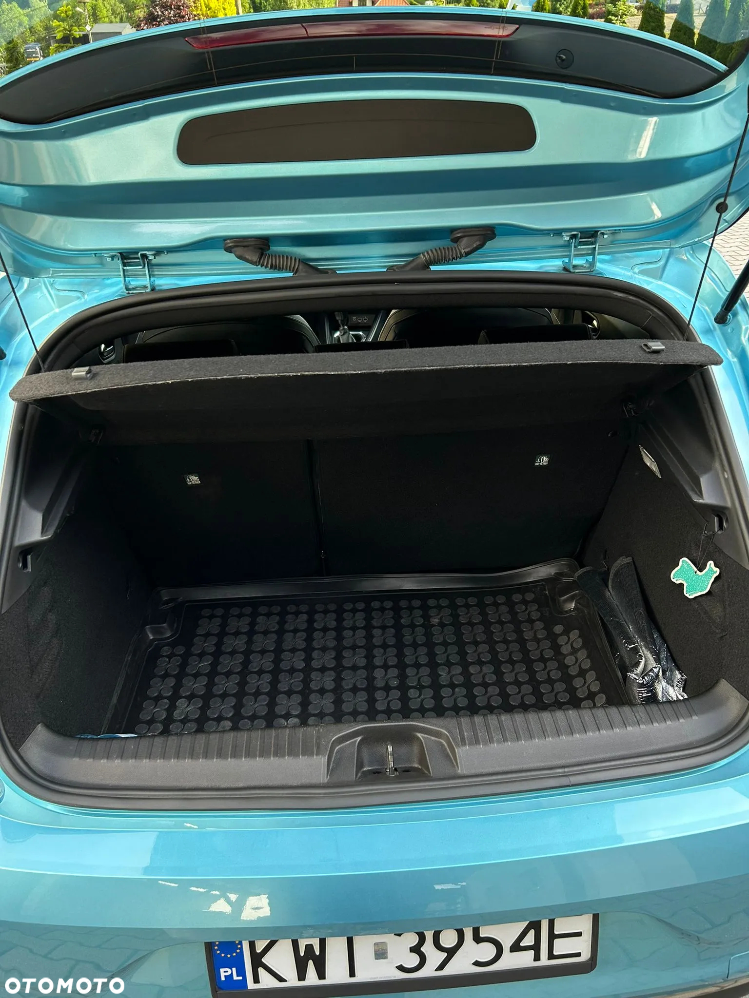 Renault Clio - 14