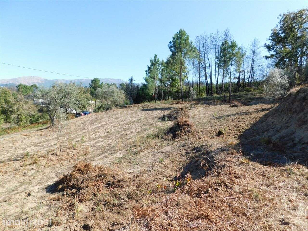 Terreno / Seia, Várzea de Meruge - Grande imagem: 3/10