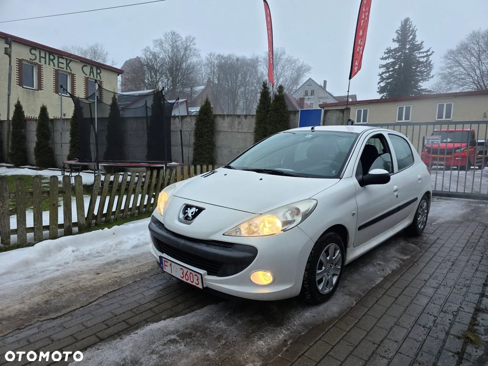 Peugeot 206 plus 60 - 2