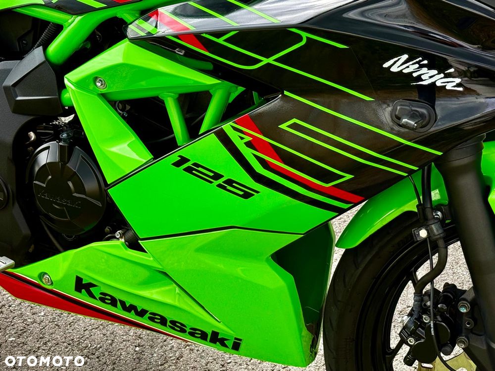 Kawasaki Ninja - 17