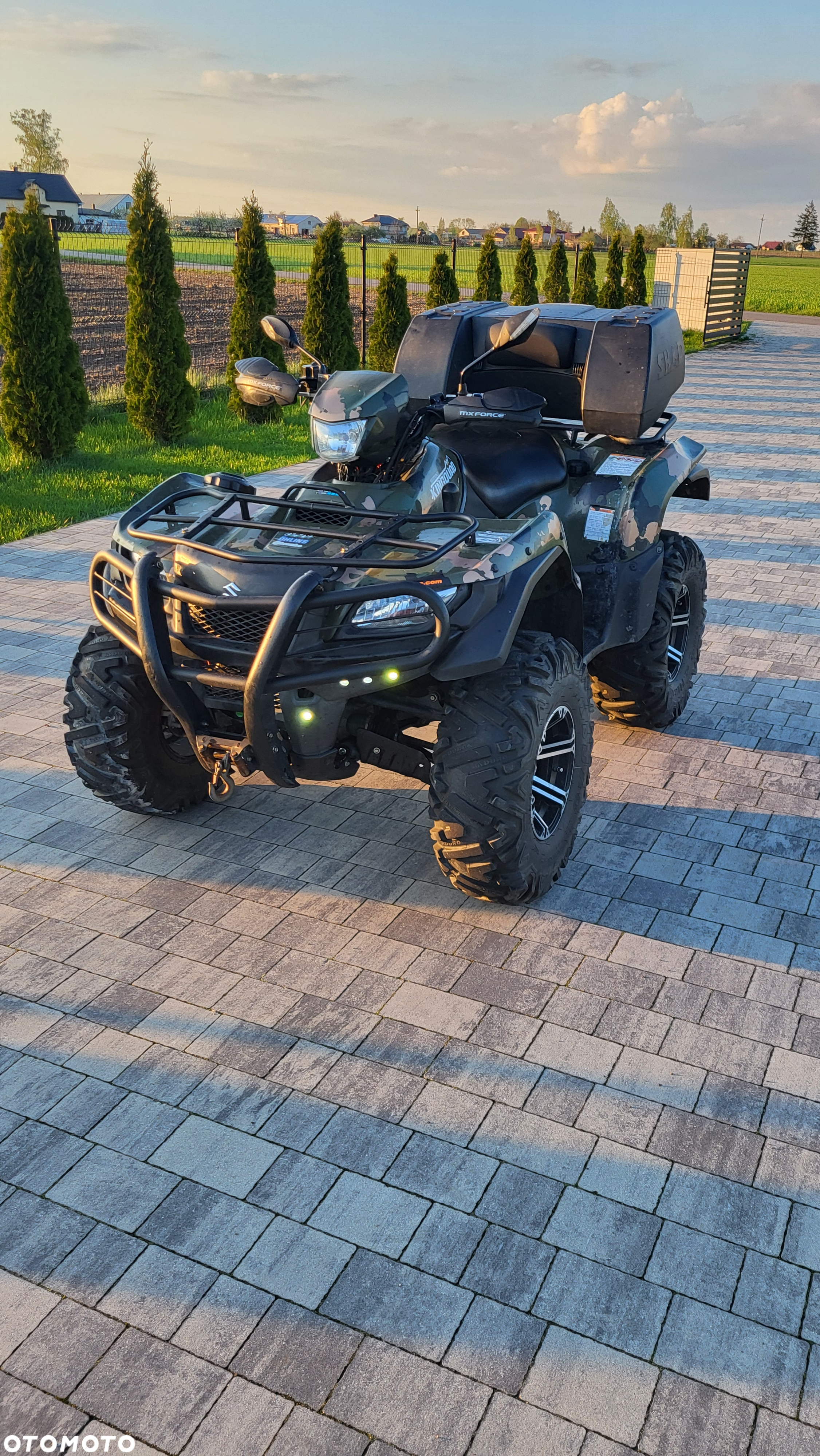 Suzuki Kingquad - 9