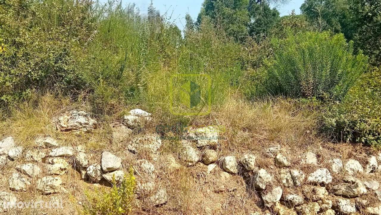 Terreno para Construção - Grande imagem: 3/12