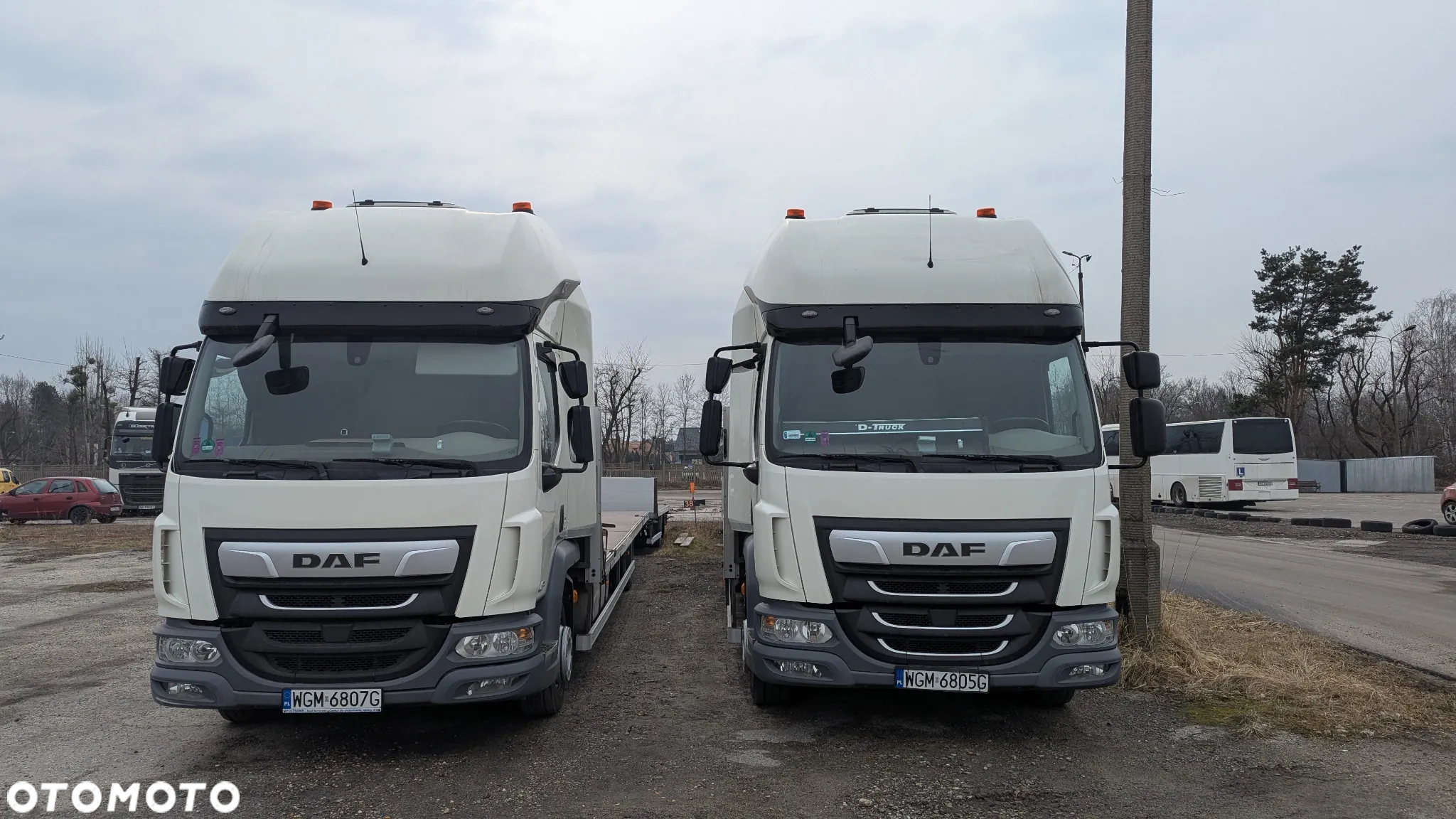 DAF LF 260 - 38