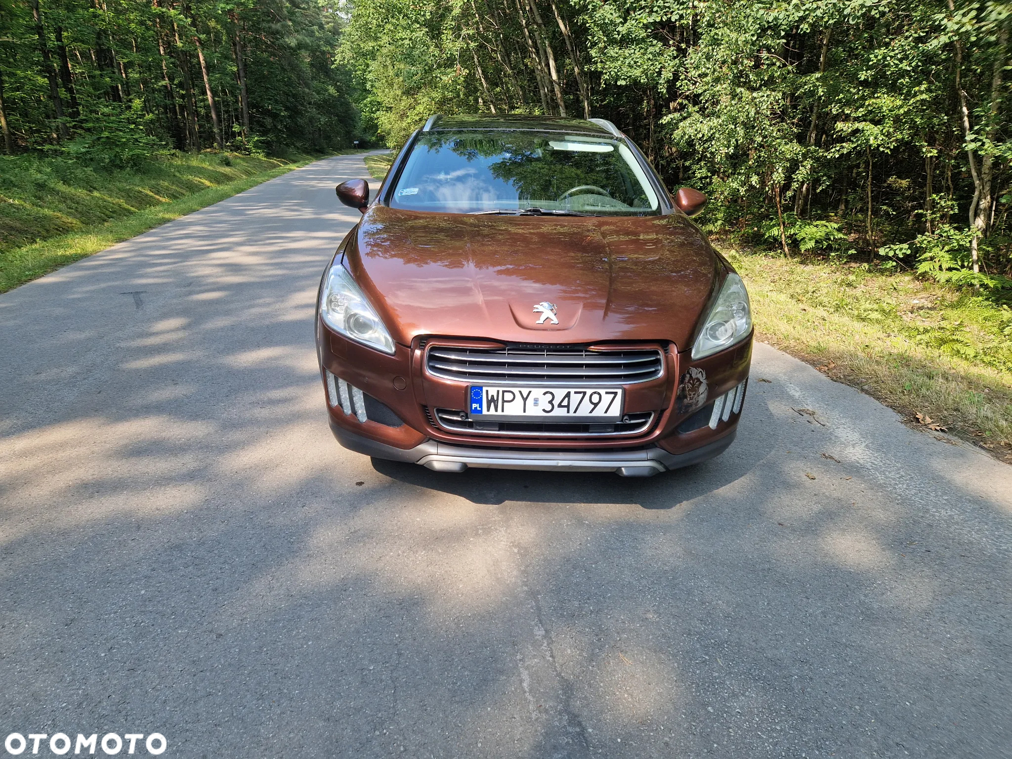 Peugeot 508 RXH Hybrid4 - 10