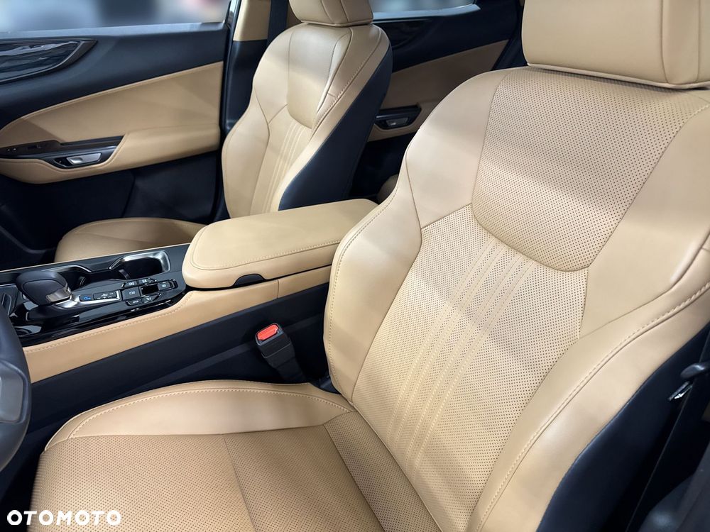 Lexus NX - 15