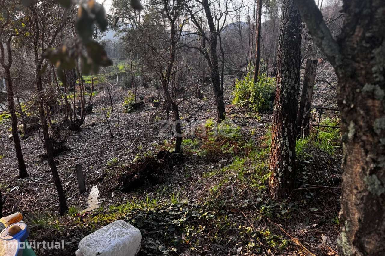 Terreno Urbano em Melres - Grande imagem: 5/26
