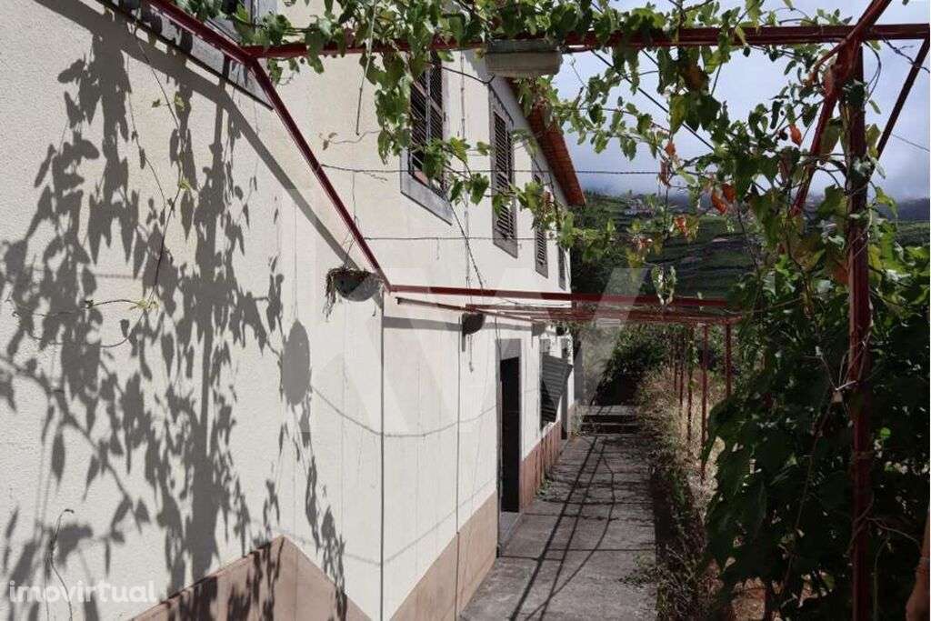 Moradia por recuperar inserido num terreno com a área de 3692 m2 - Grande imagem: 4/13