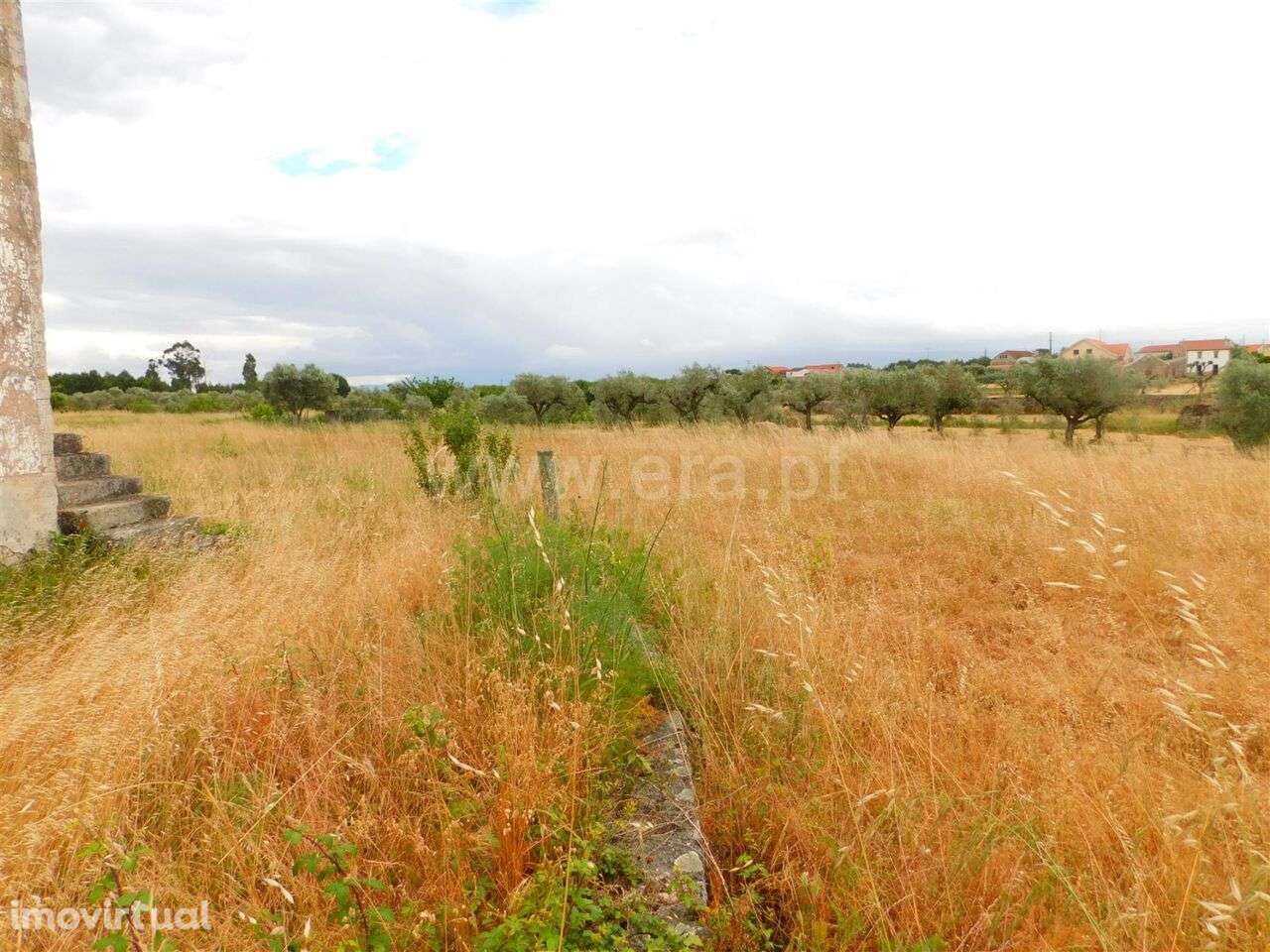 Quinta / Seia, Tourais e Lajes - Grande imagem: 4/12