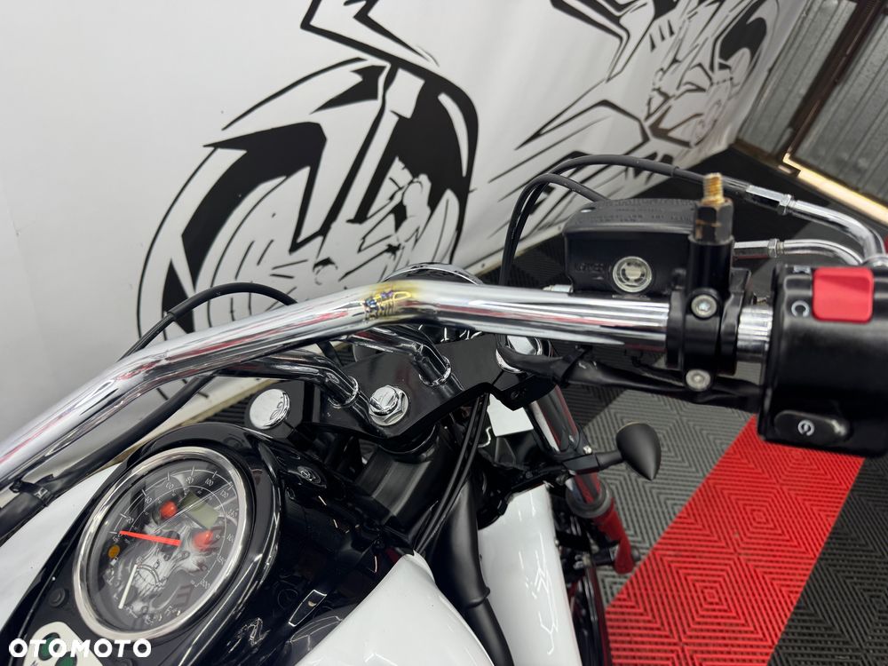 Kawasaki Vulcan - 38