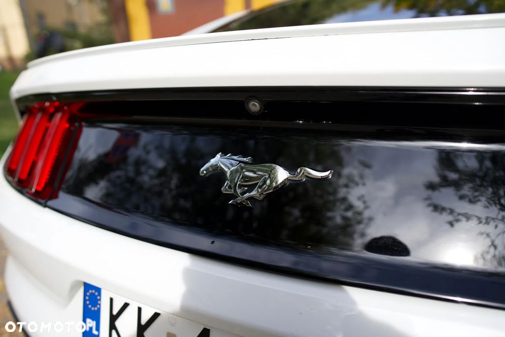 Ford Mustang 2.3 EcoBoost - 13