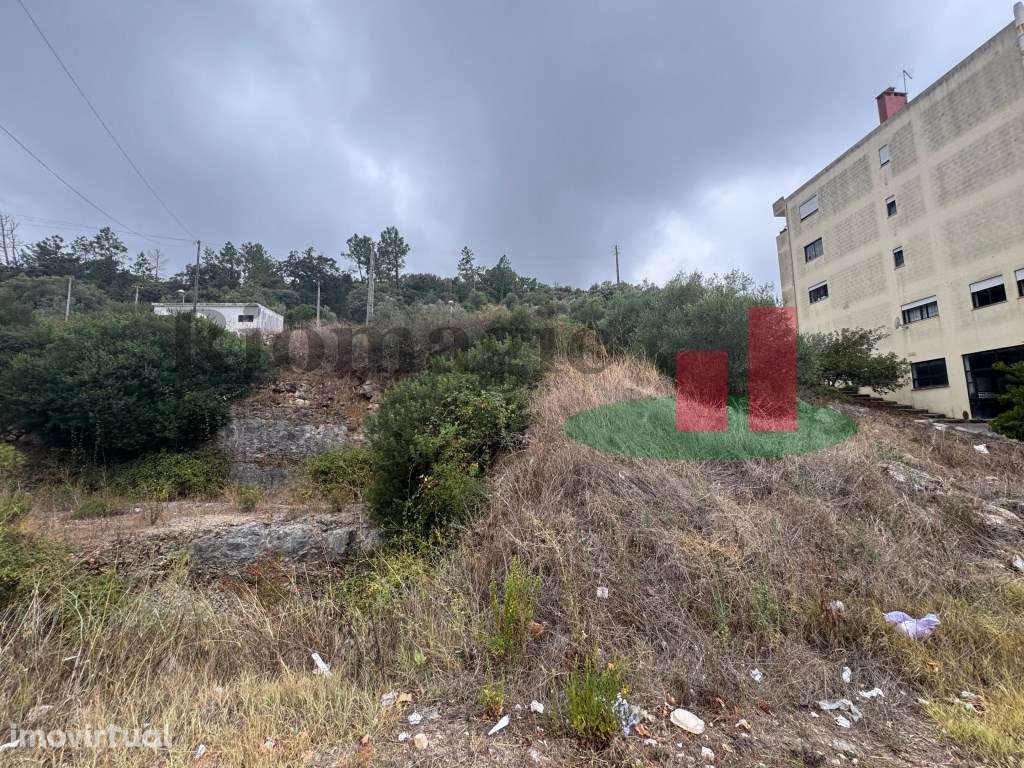 Terreno - Alcanena ***RIOMAGIC*** - Grande imagem: 5/6