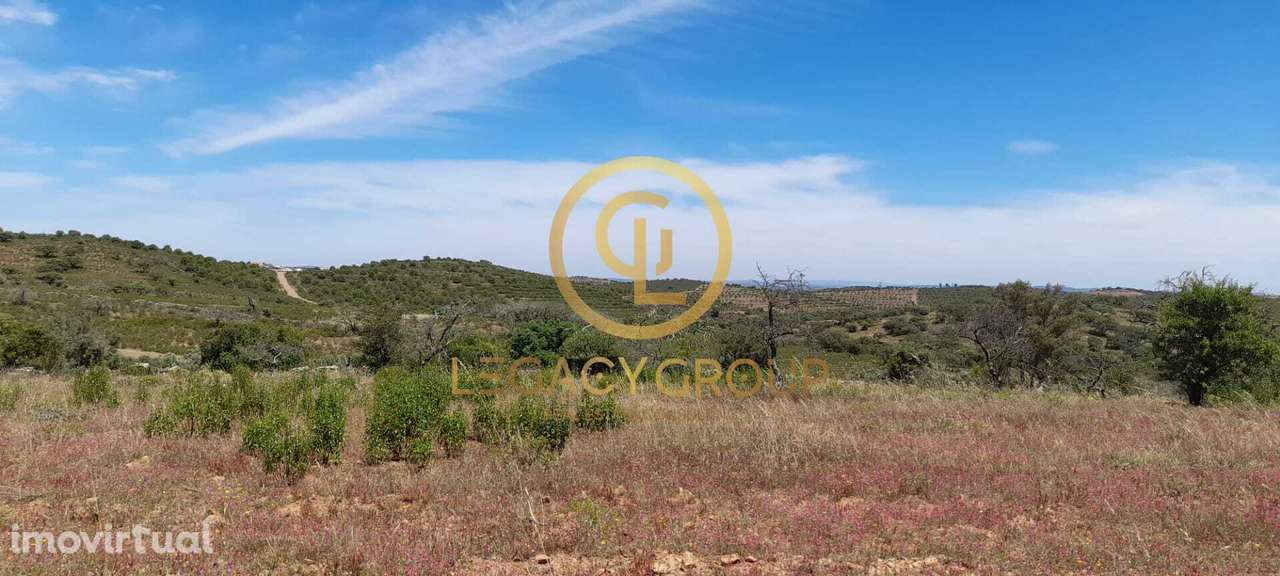 Terreno Rústico para Venda em Velhas, Giões – 5.230 m² - Grande imagem: 2/12