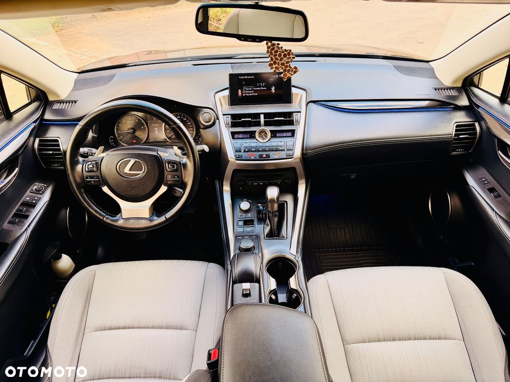 Lexus NX - 13