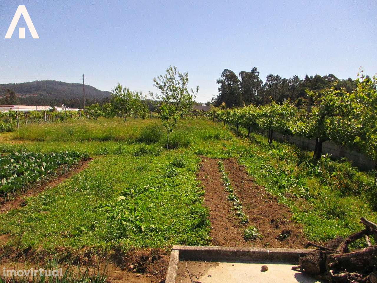 Terreno construção em V.F.S. Pedro - Grande imagem: 2/6