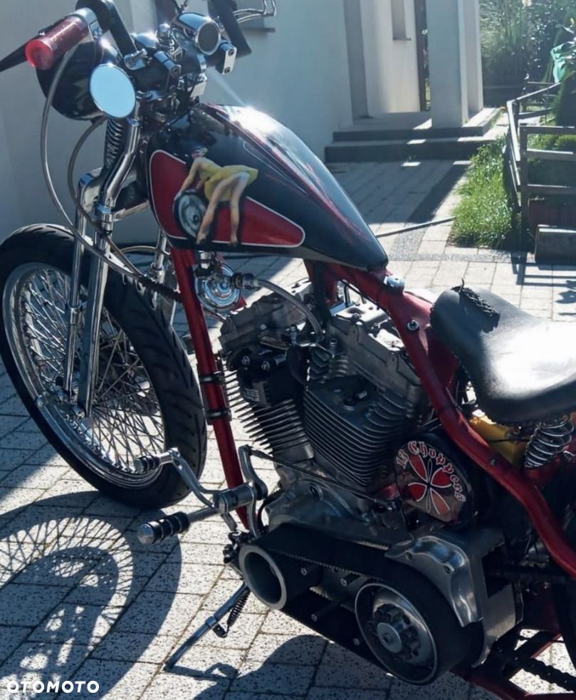 Harley-Davidson Inny - 7