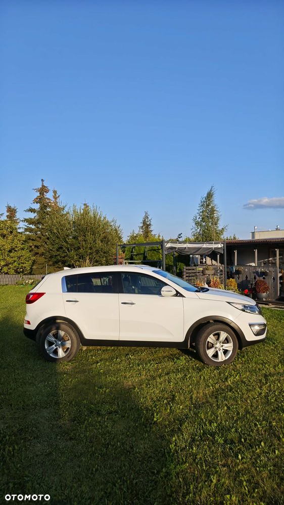 Kia Sportage - 1