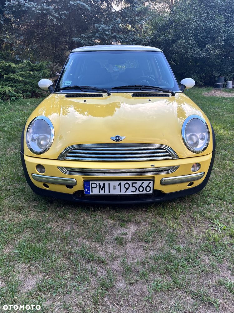 MINI Cooper pepper - 6