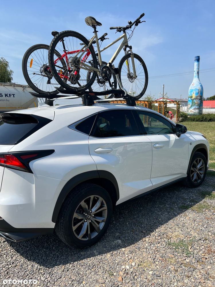 Lexus NX 300 GPF F Sport AWD - 15