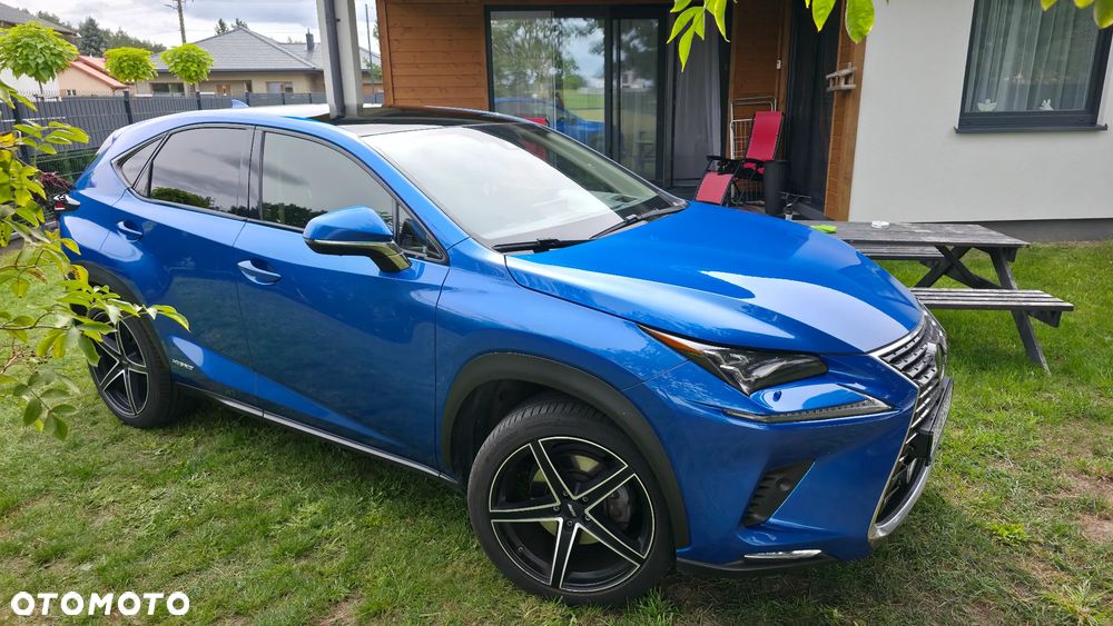 Lexus NX 300h Omotenashi AWD - 7