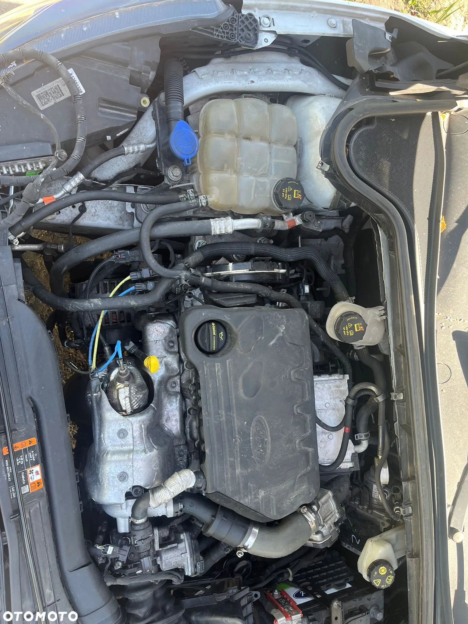 Ford Focus - 2