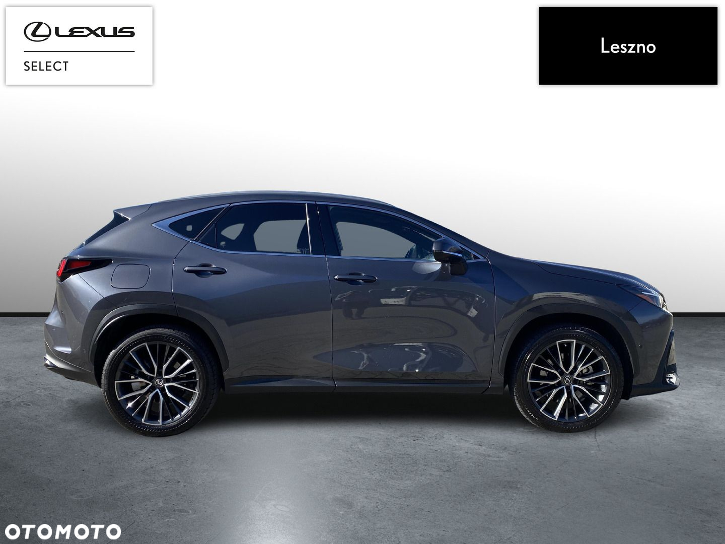 Lexus NX - 10