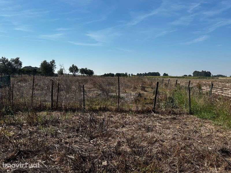 Terreno com 2 casas habitadas - Grande imagem: 5/10