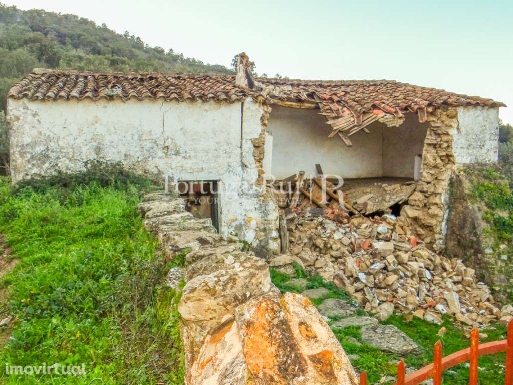 Quintinha com 10 hectares na Serra de S. Mamede - Grande imagem: 3/19