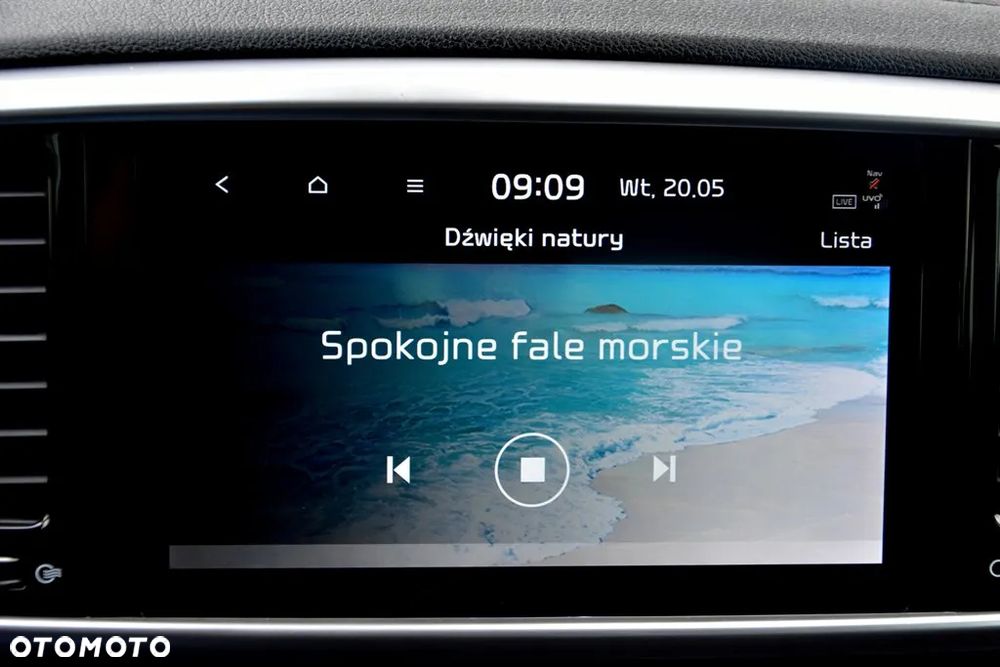 Kia Sportage - 34