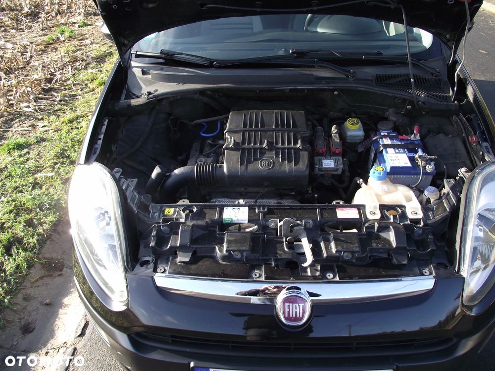 Fiat Punto - 11