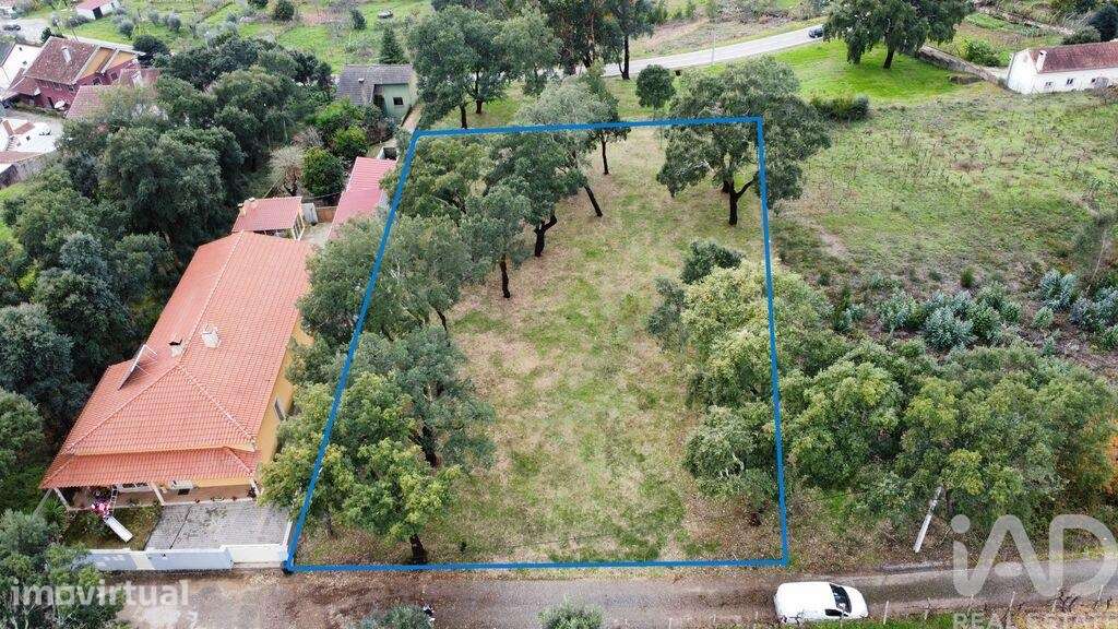Terreno Agrícola em Figueiró dos Vinhos e Bairradas - Grande imagem: 5/18